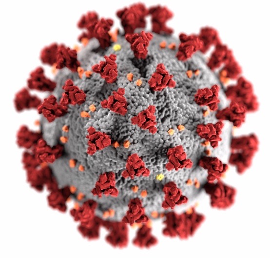 Coronavirus